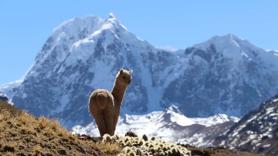 From Cusco: Ausangate Route - 7 Lagoons Tour + Meals - The Seven Lagoons: Named Stops and Big Color Moments