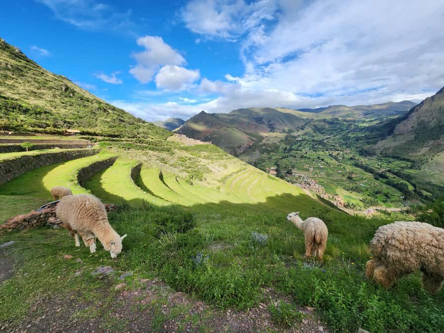 From Cusco: Chinchero, Moray, Maras, Ollantaytambo and Pisaq - Urubamba lunch buffet: where you refuel before the big ruins