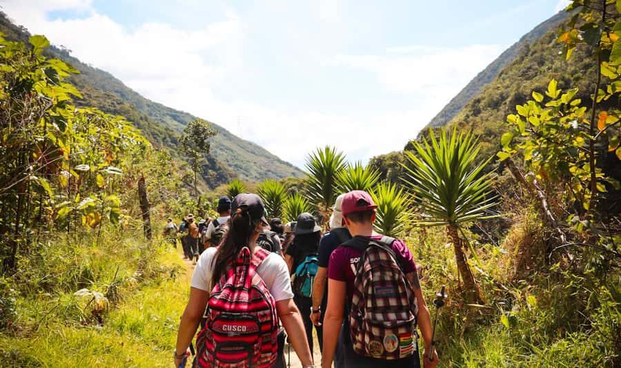 From Cusco: Full-Day Round-Trip Train Tour to Machu Picchu - The Sacred Valley train ride that makes the day feel worth it