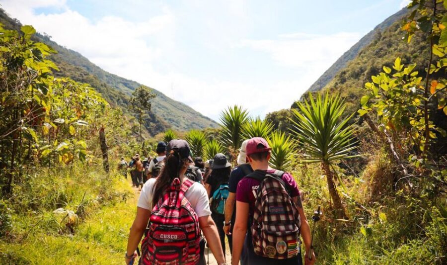 From Cusco: Full-Day Round-Trip Train Tour to Machu Picchu - Aguas Calientes timing and lunch: what you should plan around