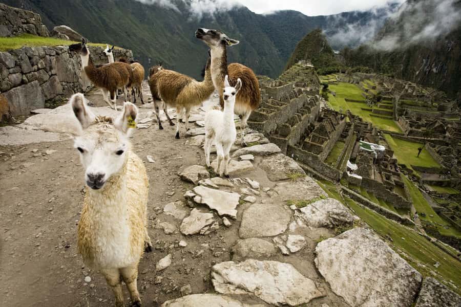 From Cusco: Machu Picchu Private Day Trip on Panoramic Train - Price and value: is $460 actually worth it?