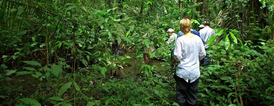 From Cusco: Manu National Park 3 Day Tour - Why Manu in 3 Days Feels Big
