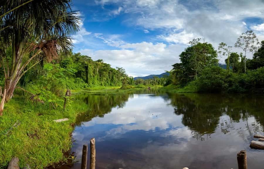 From Cusco: Manu National Park Tour & Accommodation 3 Days - Food, Comfort, and Basical Hostel Reality Checks