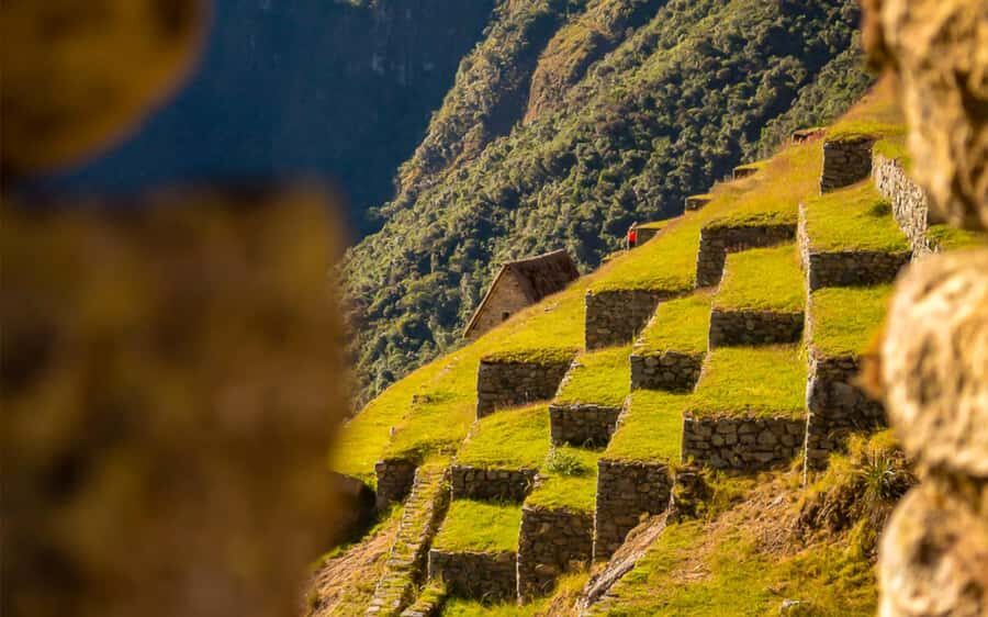 From Cusco: One-Day Round Trip to Machu Picchu by Train - Choosing Machu Picchu Circuits: Circuit 1 or 2 for the Classic View