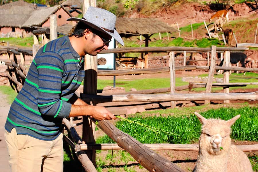 From Cusco: Private Pisac Ruins and Alpaca Farm Day Trip - Key things to know before you go