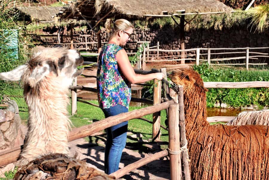 From Cusco: Private Pisac Ruins and Alpaca Farm Day Trip - The short stop at Manos de la Comunidad (a quick cultural breather)