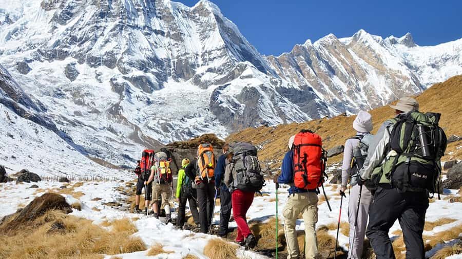 From Cusco: Salkantay trek 5 days/4 nights meals included - Meals, the chef team, and what changes on high-altitude days