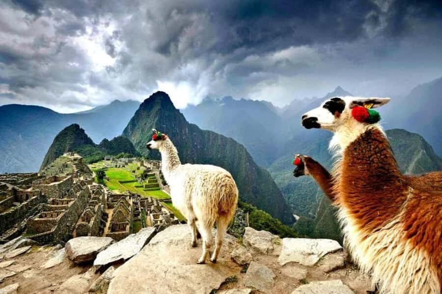 From Cusco:MachuPicchu Excursion 1 day plus Ticket and Train - Key highlights worth your attention