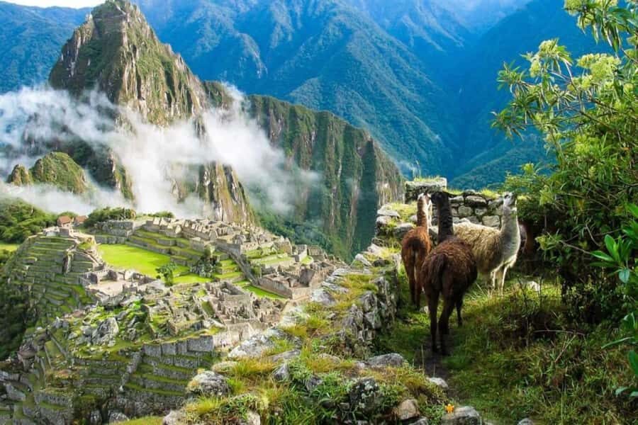 From Cusco:MachuPicchu Excursion 1 day plus Ticket and Train - Price and value: what $329 really buys