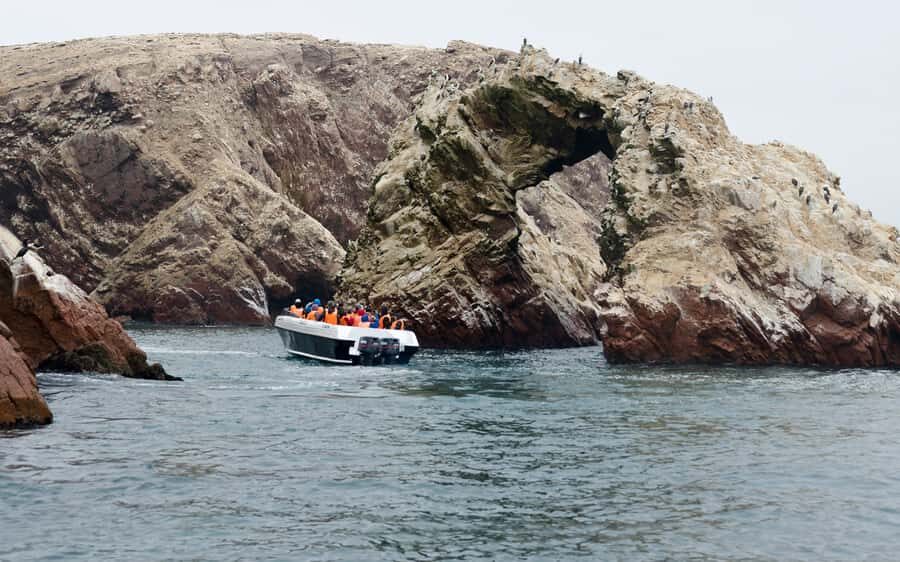 From Huacachina: Ballestas and Paracas Reserve - GROUP TOUR - Ballestas Islands by speedboat: what you’ll actually see from the water