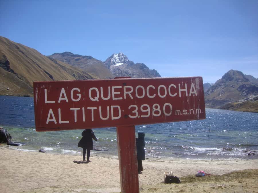 From Huaraz: Chavín de Huantar & Chavín Museum Day Trip - What it feels like on the ground: timing, effort, and the bus factor