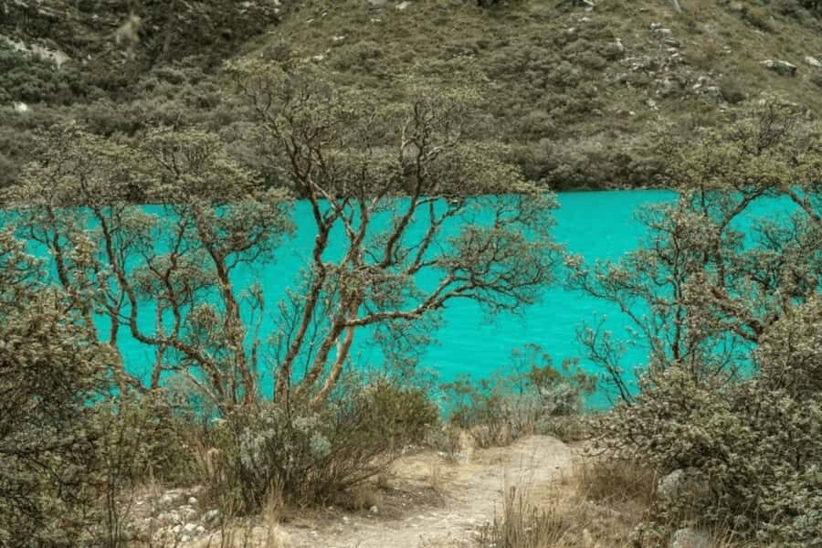 From Huaraz: Tour to Llanganuco Lakes (Chinancocha Lake) - Lunch and the Final Stops: Enjoy the Culture, Keep Your Wallet in Check