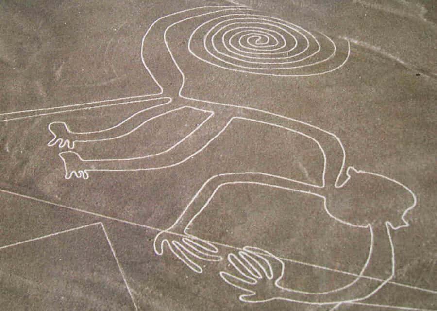 From Ica: Flight over the Nazca Lines - Key Points You’ll Care About
