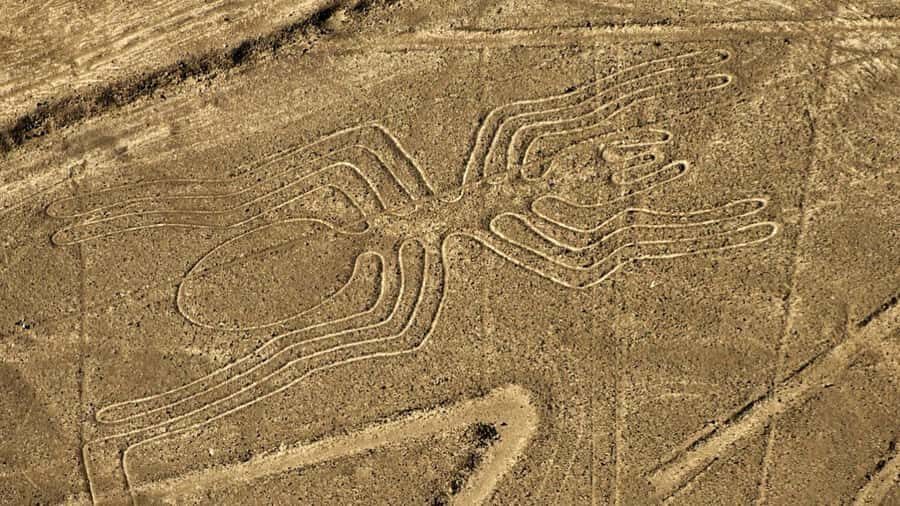 From Ica: Flight over the Nazca Lines - The Live Guide Part: How Explanations Fit the View
