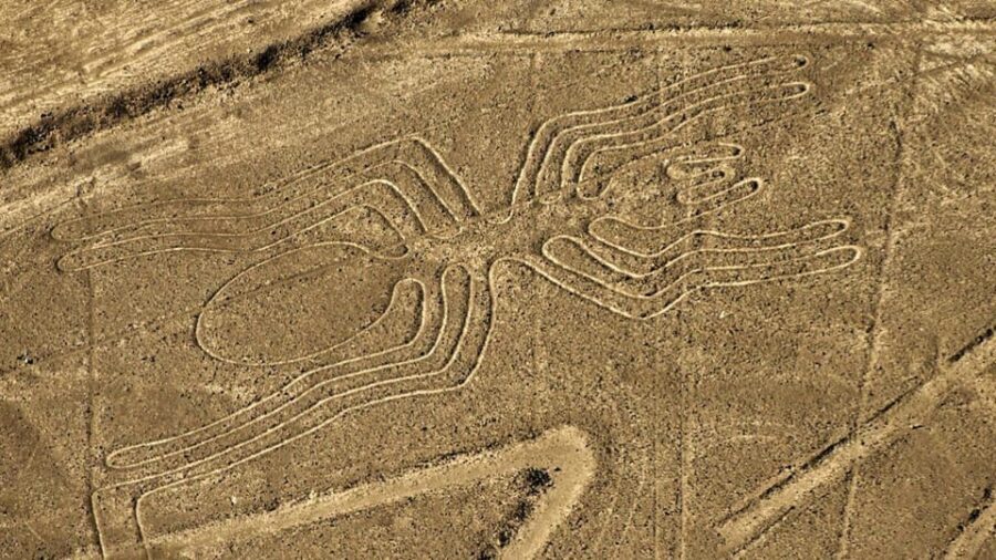 From Ica: Flight over the Nazca Lines - Should You Book This Experience?