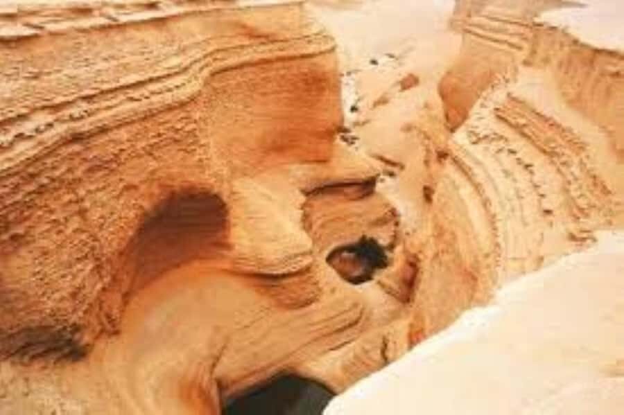 From Ica || Full Day Excursion to Los Perdidos Canyon || - Key things that make this trip worth your time