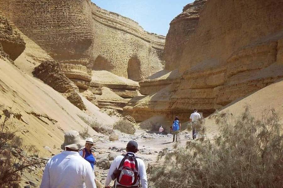 From Ica | Huacachina : Canyon de Los Perdidos | Full Day - Small-group size: what that usually means and what to watch for