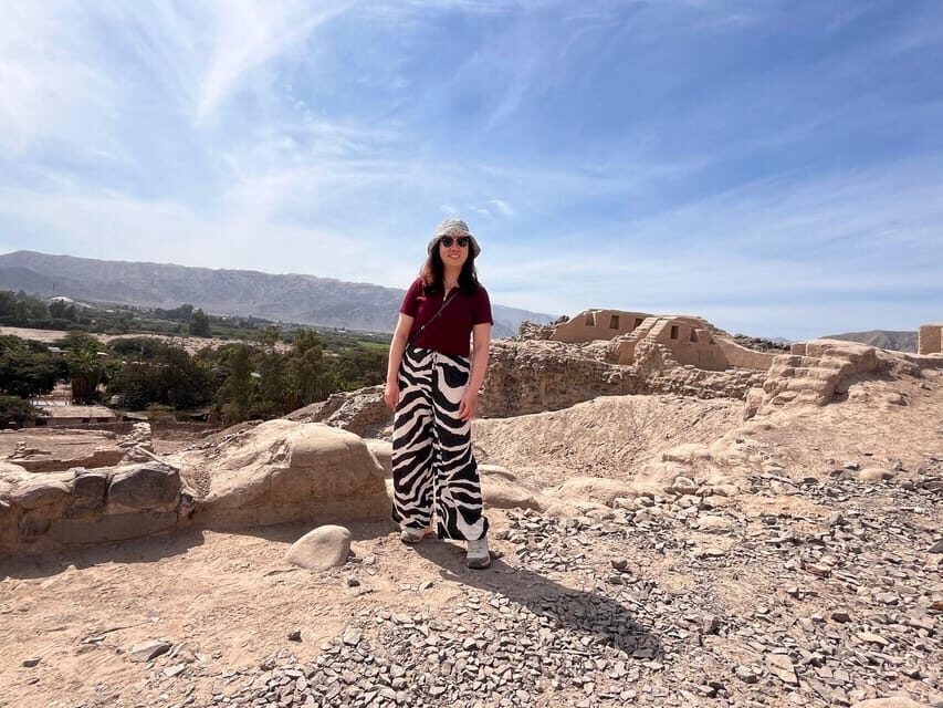 From Ica or Huacachina: Day Trip to Nazca - Who this tour is best for (and who might want a different approach)