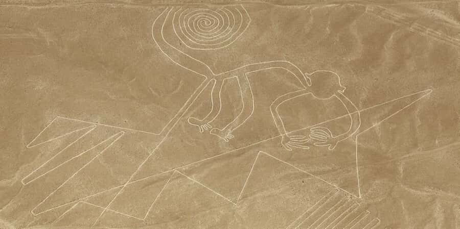 From Ica or Huacachina: Flight Tour Nazca Lines | Overflight - From Ica or Huacachina to the María Reiche Aerodrome