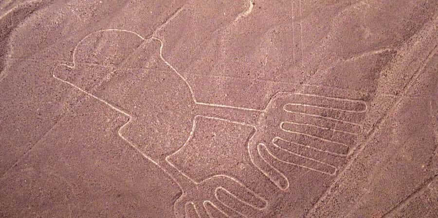 From Ica or Huacachina: Flight Tour Nazca Lines | Overflight - The guide’s role: history, ritual theories, and the UFO idea