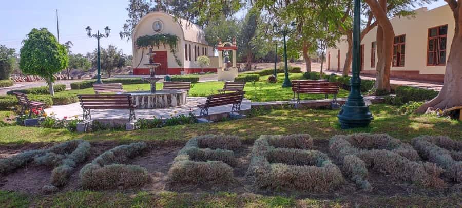 From Ica or Huacachina: Tour to Tacama Vineyard and Artisanal Winery. - The point of this 5-hour Ica wineries tour