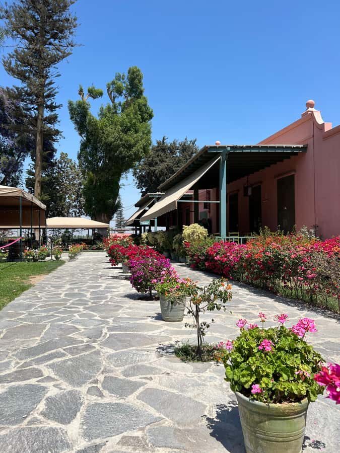 From Ica or Huacachina: Tour to Tacama Vineyard and Artisanal Winery. - Cutur Pisco and El Arrabal: artisan pisco plus lunch with cellars