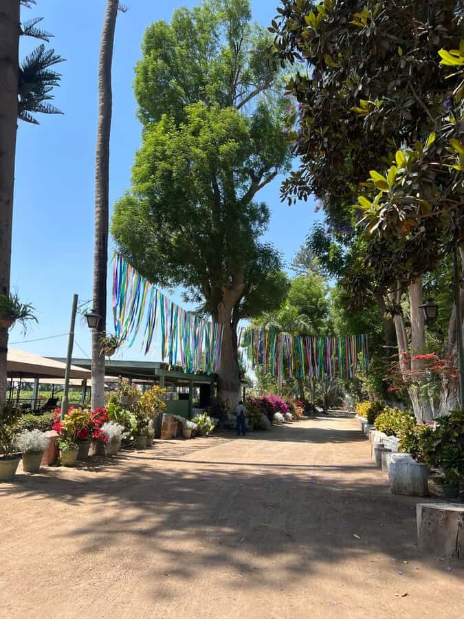 From Ica or Huacachina: Tour to Tacama Vineyard and Artisanal Winery. - Timing, group pace, and the small things that save your day