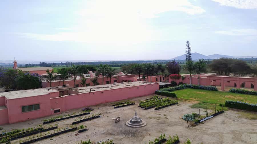 From Ica or Huacachina: Tour to Tacama Vineyard and Artisanal Winery. - Who should book, and who should skip this one