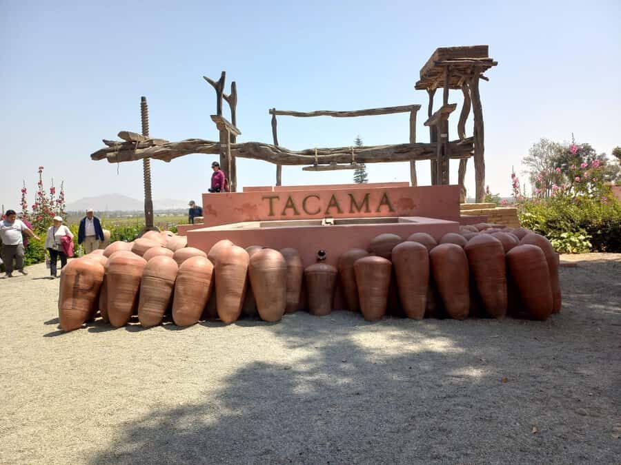 From Ica or Huacachina: Tour to Tacama Vineyard and Artisanal Winery. - Price and what $25 really buys you
