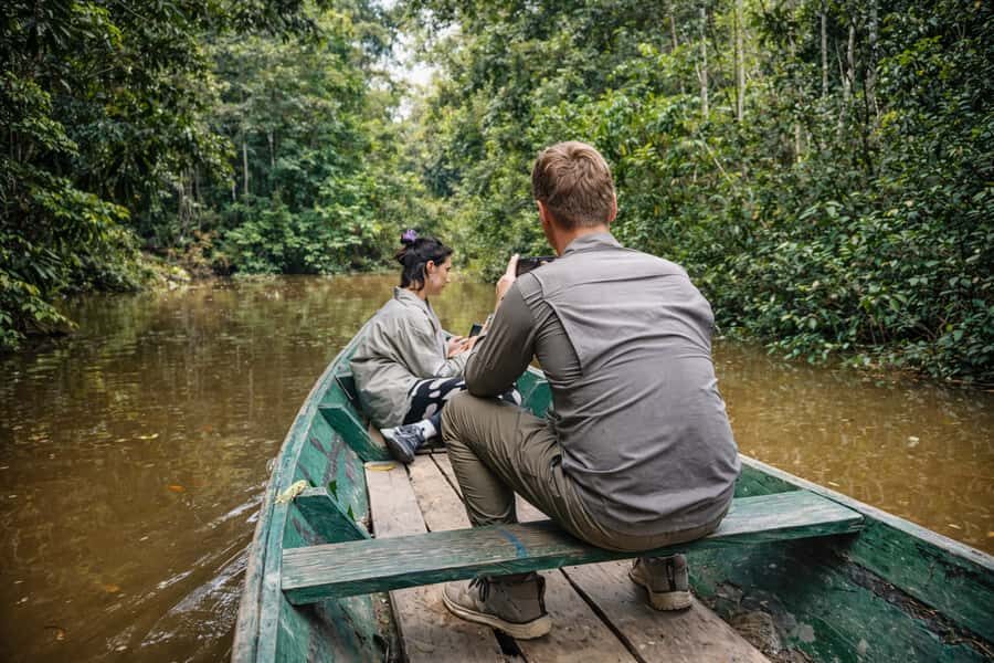 From Iquitos: 3-Day Amazon Jungle Adventure Trip - Day 3: Medicinal plants, lianas, and the ride back to Iquitos