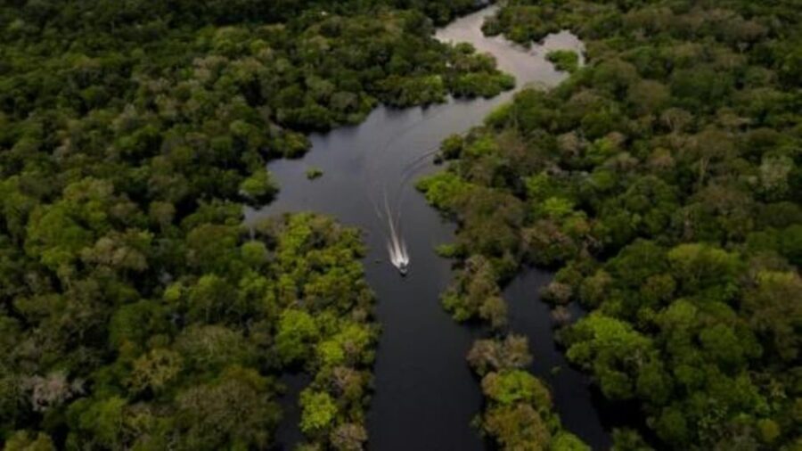 From Iquitos: 3-Day Amazon Jungle Adventure Trip - Lodging and meals: what basic comfort really means here