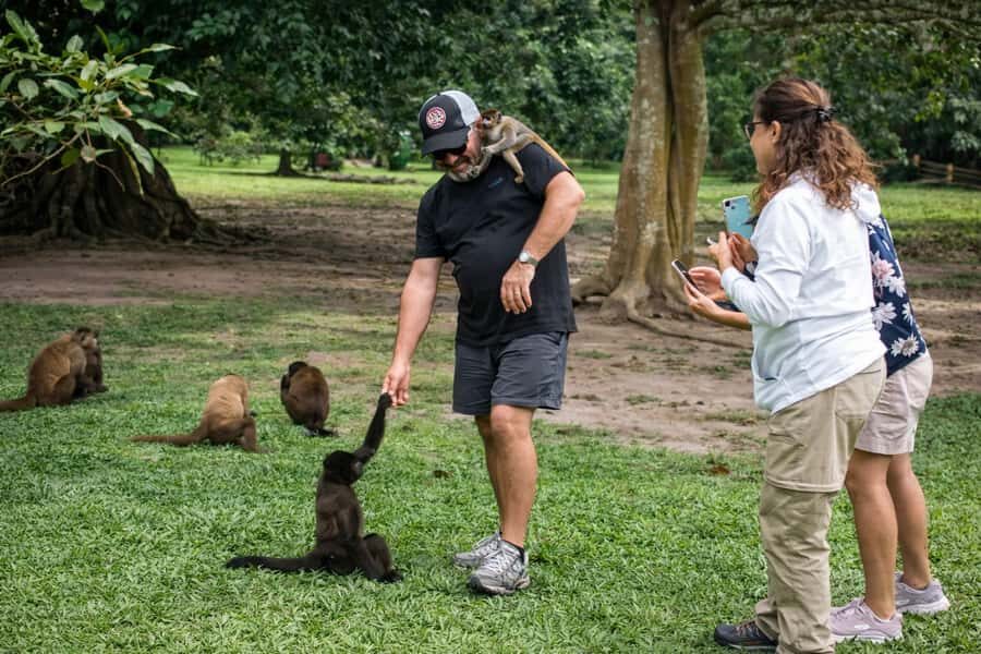 From Iquitos: 3-Day Amazon Jungle Adventure Trip - Learning about the Yahuas and Amazon medicinal plants