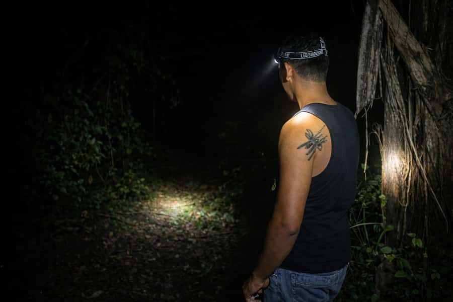 From Iquitos: 3-Day Amazon Jungle Adventure Trip - Price and logistics: does $467 feel fair