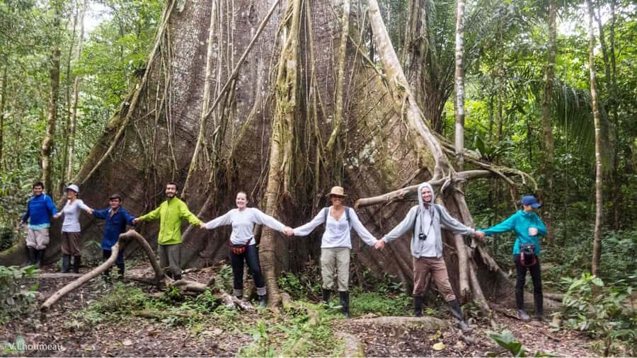 From Iquitos: Full day tour in the Peruvian jungle - Key highlights you’ll feel right away