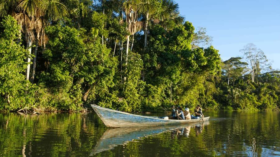 From Iquitos: Full day tour in the Peruvian jungle - The natural reserve and Victoria Regia: the Amazon’s giant floating leaves