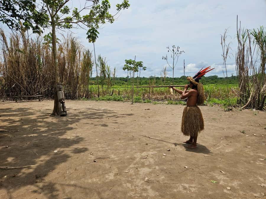 From Iquitos: Full day tour in the Peruvian jungle - Lunch at the lodge: when you’ll want real food and shade