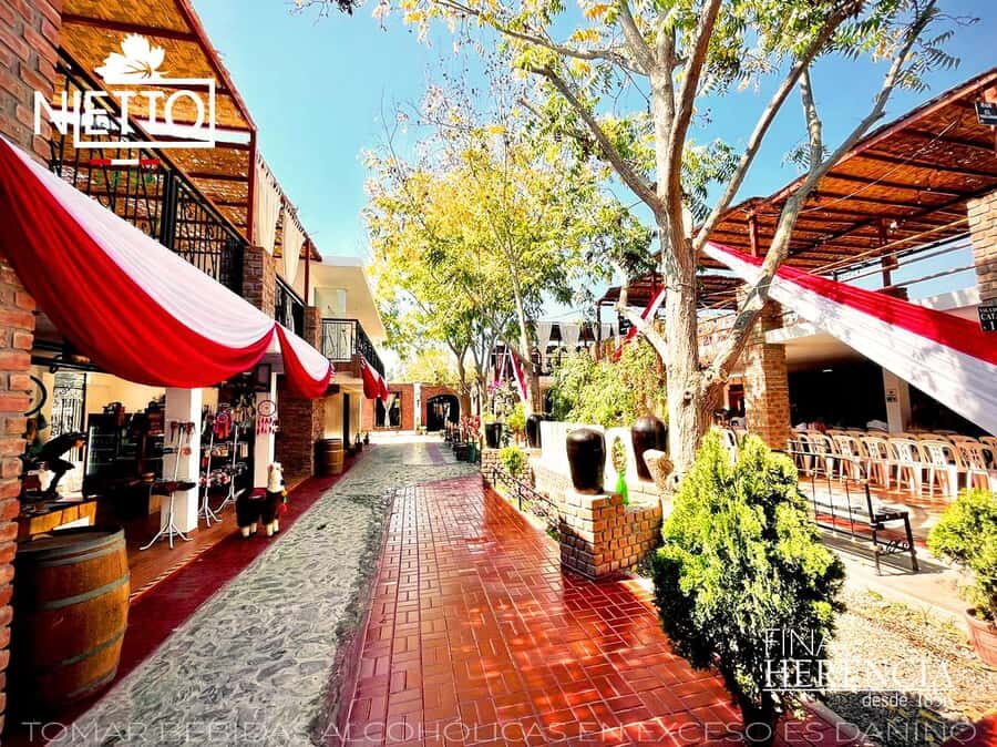 From Lima 2 days 1 night, Ballestas,Huacachina & Nazca lines - Guide quality and how to make the experience smoother