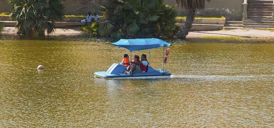 From Lima: Ballestas Islands and Huacachina Sunset Day Trip - Huacachina Oasis Sunset: Dunes, Buggies, and Beginner Sandboarding