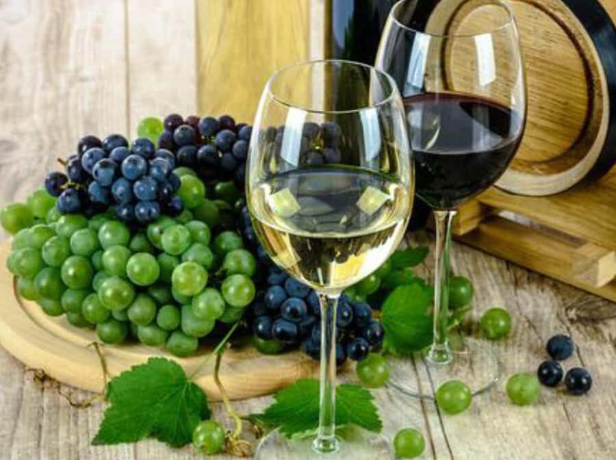 From Lima: Ballestas Islands, Huacachina and Wine Route Trip - Transfer Time to Ica: Lunch and Wine or Pisco Sampling