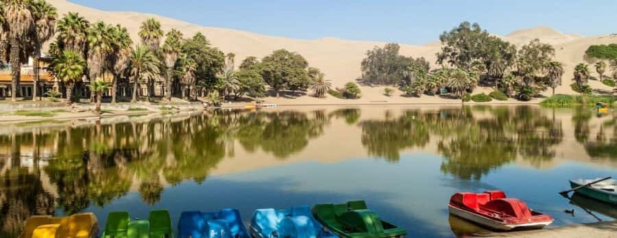 From Lima: Ballestas Islands, Huacachina and Wine Route Trip - Should You Book This Tour?