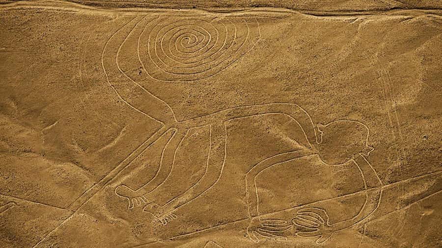 From Lima: Full day flight over in the Nazca Lines - What you’ll see during the Nazca overflight (and what to look for)