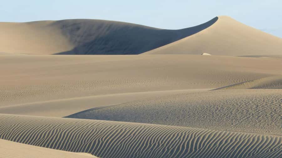 From Lima: Huacachina Oasis & Ballestas Island - ENGL / ESPA - Who should book this (and who should consider another plan)