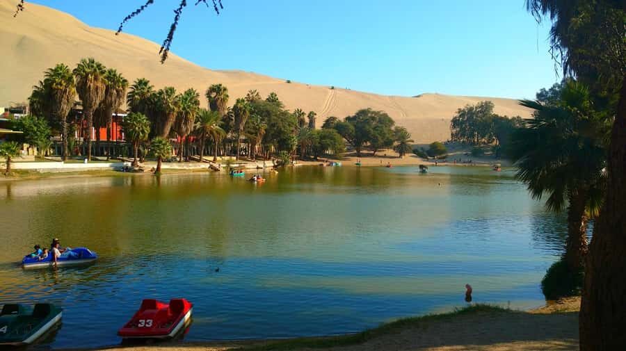 From Lima: Huacachina Oasis Tour, Winery & Desert Sunset - Lima to Ica: The Comfortable Ride That Sets the Tone