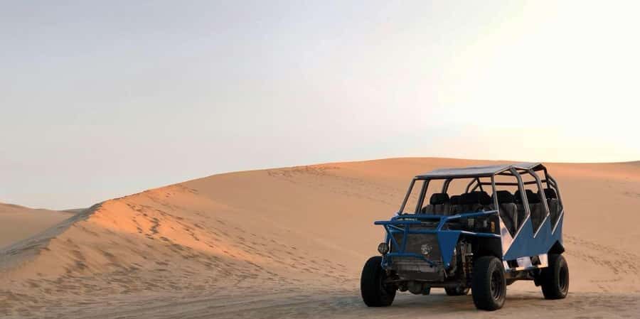From Lima: Paracas and Huacachina Guided Desert Oasis Trip - Islas Ballestas wildlife viewing: sea lions and penguins without the hassle