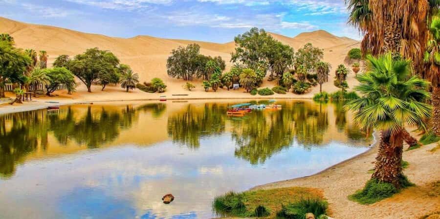 From Lima: Paracas and Huacachina Guided Desert Oasis Trip - 4WD dune buggy and sandboarding: what you should expect to feel