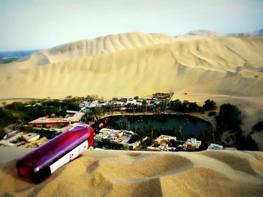 From Lima:Paracas Ballestas Islands and Ica Oasis 1 day Tour - Key points before you go