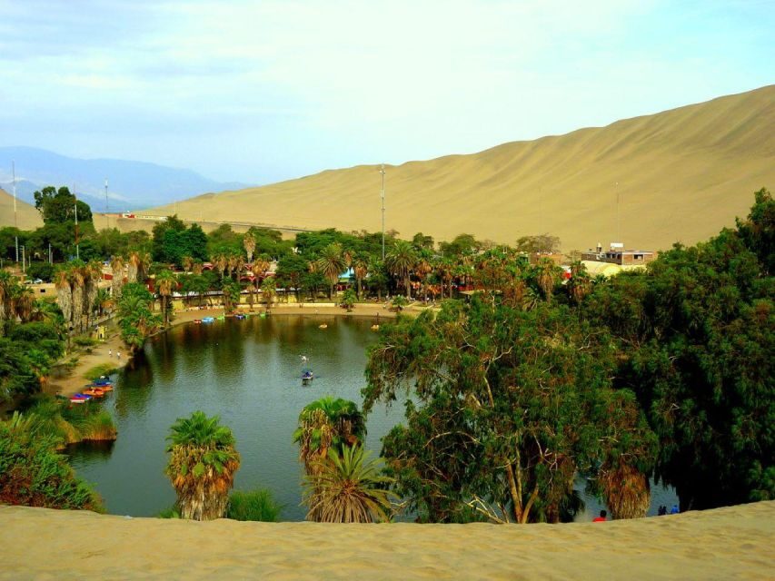 From Lima:Paracas Ballestas Islands and Ica Oasis 1 day Tour - Huacachina lagoon and Ica dunes: buggy and sandboard included