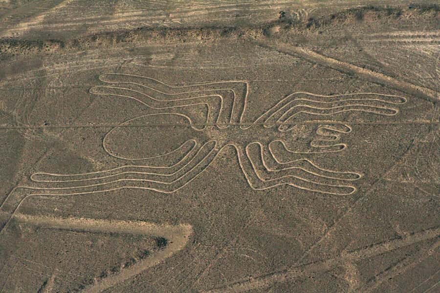 From Nazca: Flight in a light aircraft over the Nazca Lines - The 30-Minute Aerial Route: How the 13 Most Important Lines Get Covered