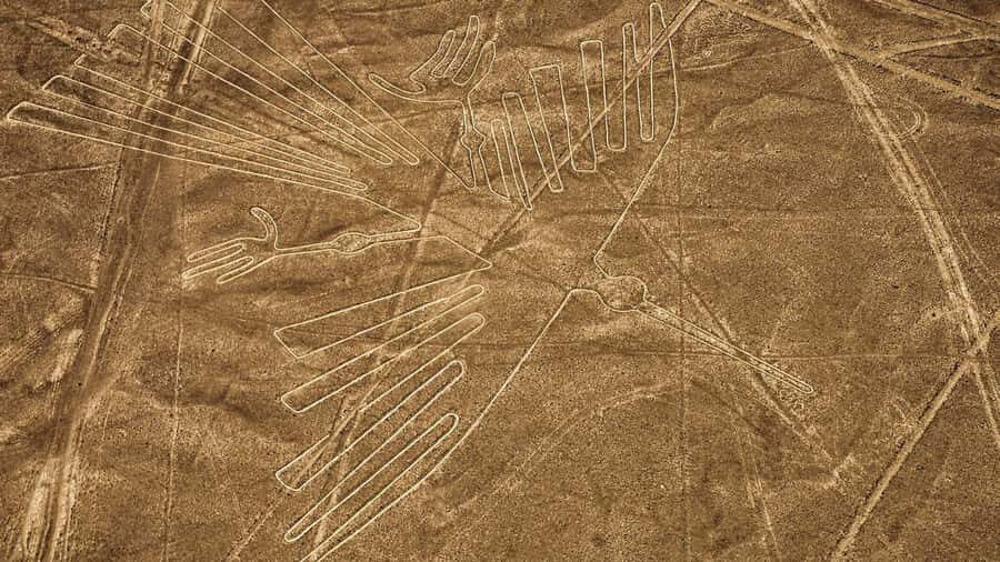 From Nazca: Flight in a light aircraft over the Nazca Lines - What You’ll See From Above: Condor, Spider, Monkey, Hummingbird