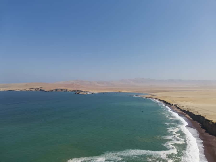 From Paracas: Ballestas Island Cruise & Paracas Reserve Tour - What’s included, what’s not, and what to budget for